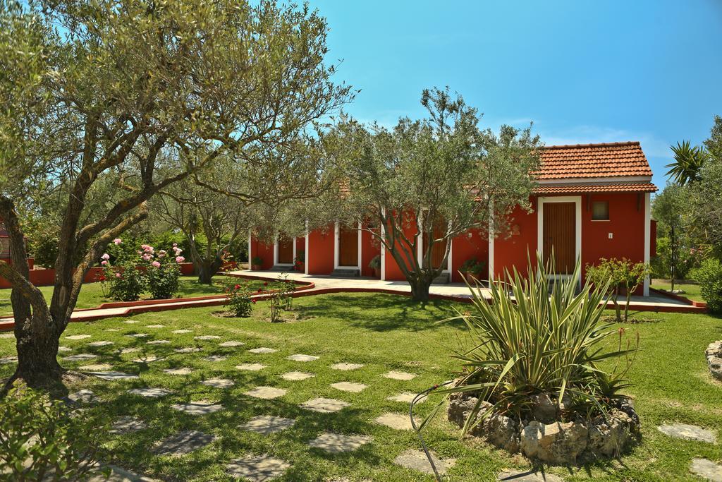 Minia Dendrolivano מראה חיצוני תמונה