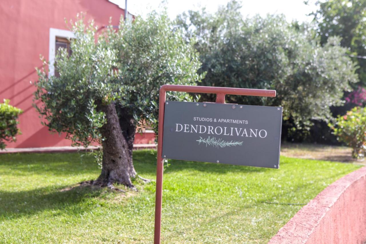 Minia Dendrolivano מראה חיצוני תמונה